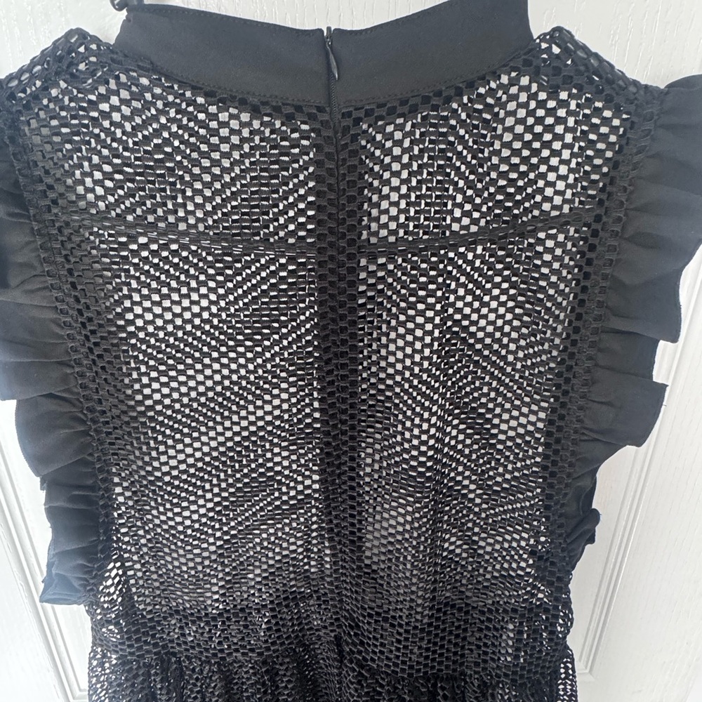 Black Mesh Ruffle Dress - Picture 5 of 5